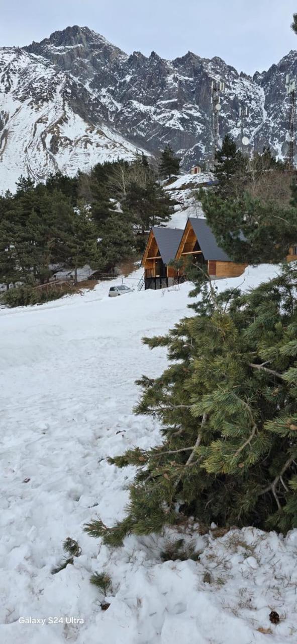 Cottage Paradise 카즈베기 외부 사진